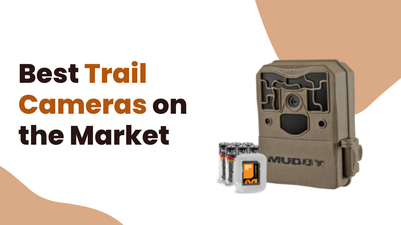 Best Trail Cameras on the Market